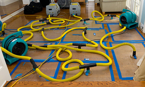 Professional Crawl Space Water Removal technician working in Dublin, NH